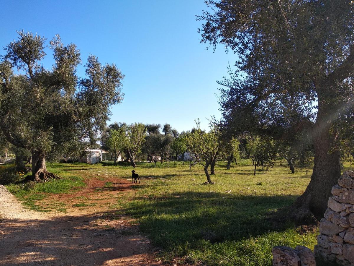 Piccolo Trullo Ostunese Le Jardin De Sophie' Ostuni Exterior photo